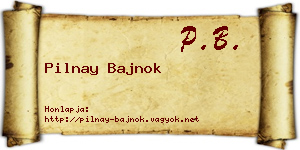 Pilnay Bajnok névjegykártya